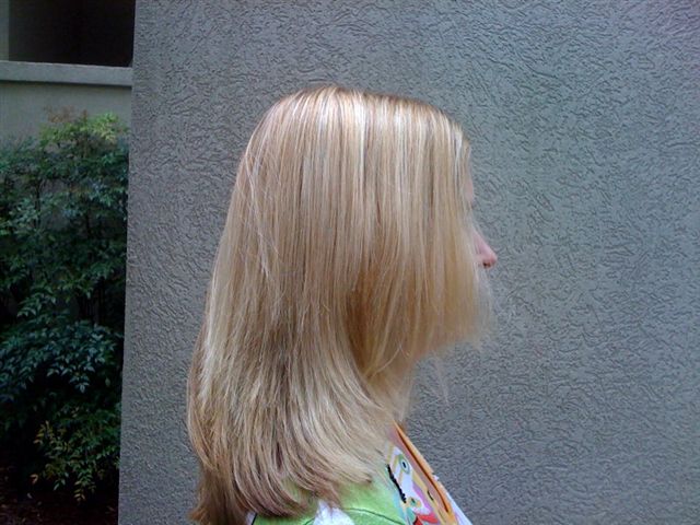 EcoColors hair color  (13)