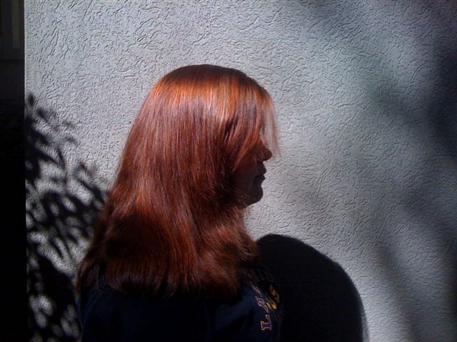 EcoColors hair color  (14)